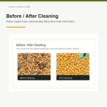 ai double fan grain cleaner grain cleaner before after kernels